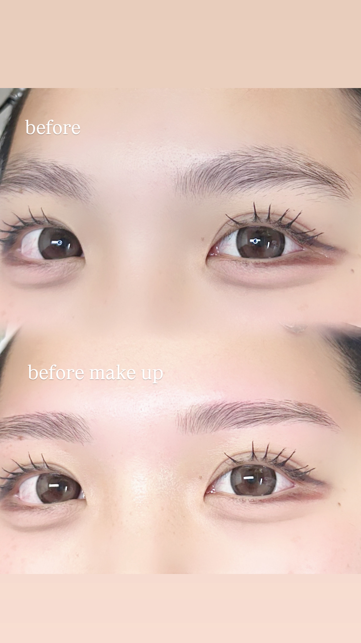 2026 🐴 6A44E284 3147 490F BD64 3526205C469B - 2026 🐴