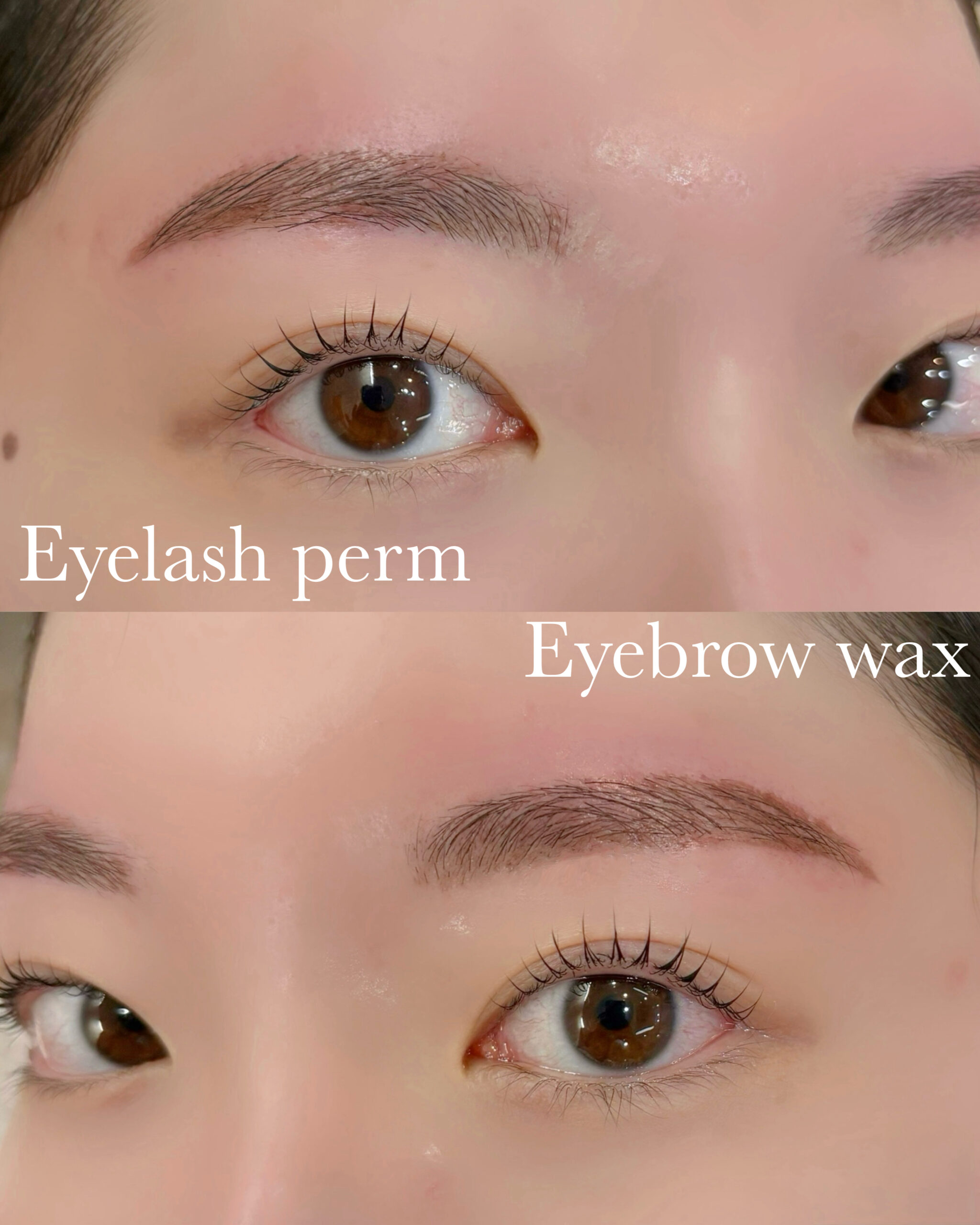 phonto 11 scaled - 眉Wax＋まつ毛パーマで目元をかわいく垢抜け🤍