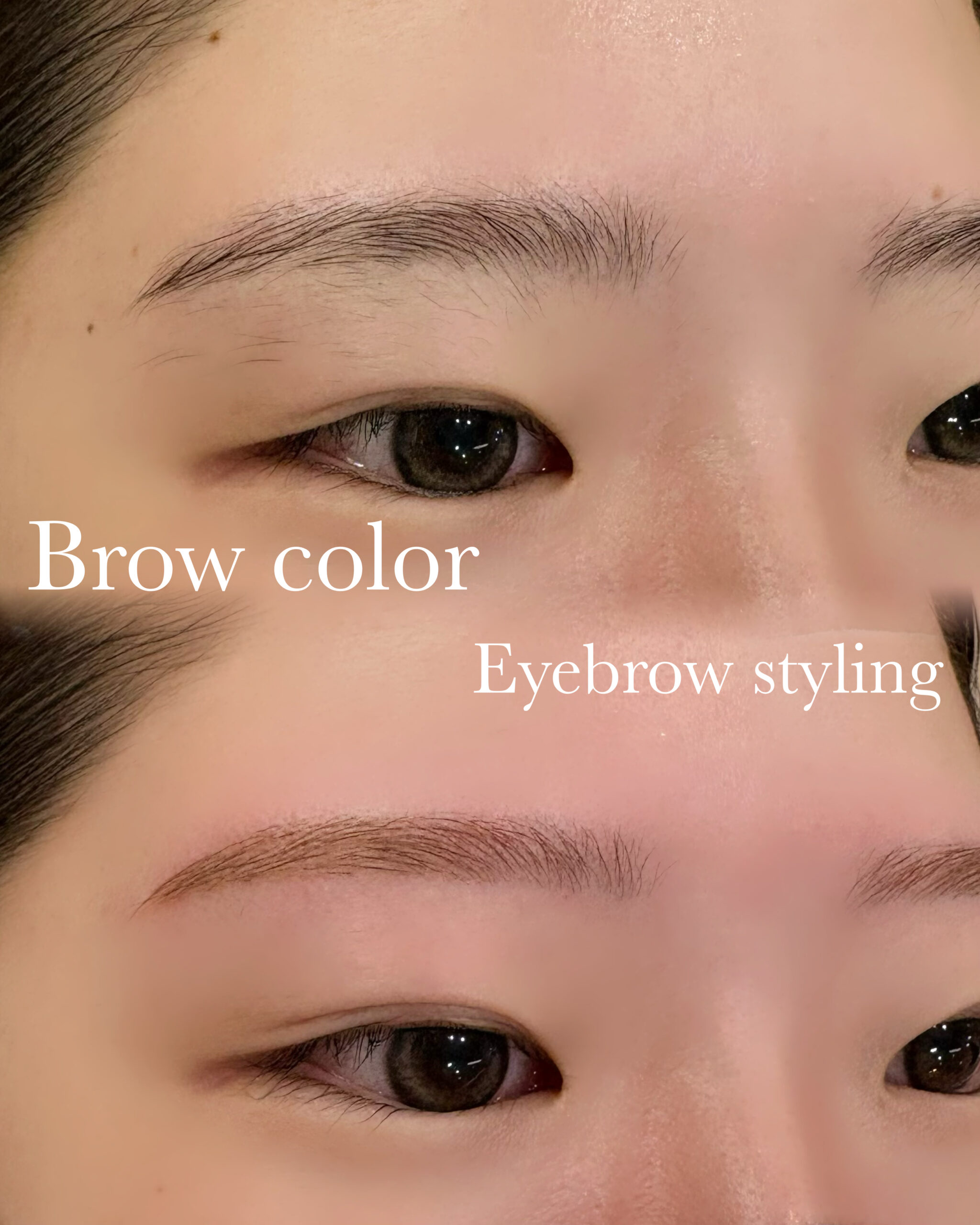 phonto 6 scaled - 大人気のBrow colorで可愛く垢抜けます！